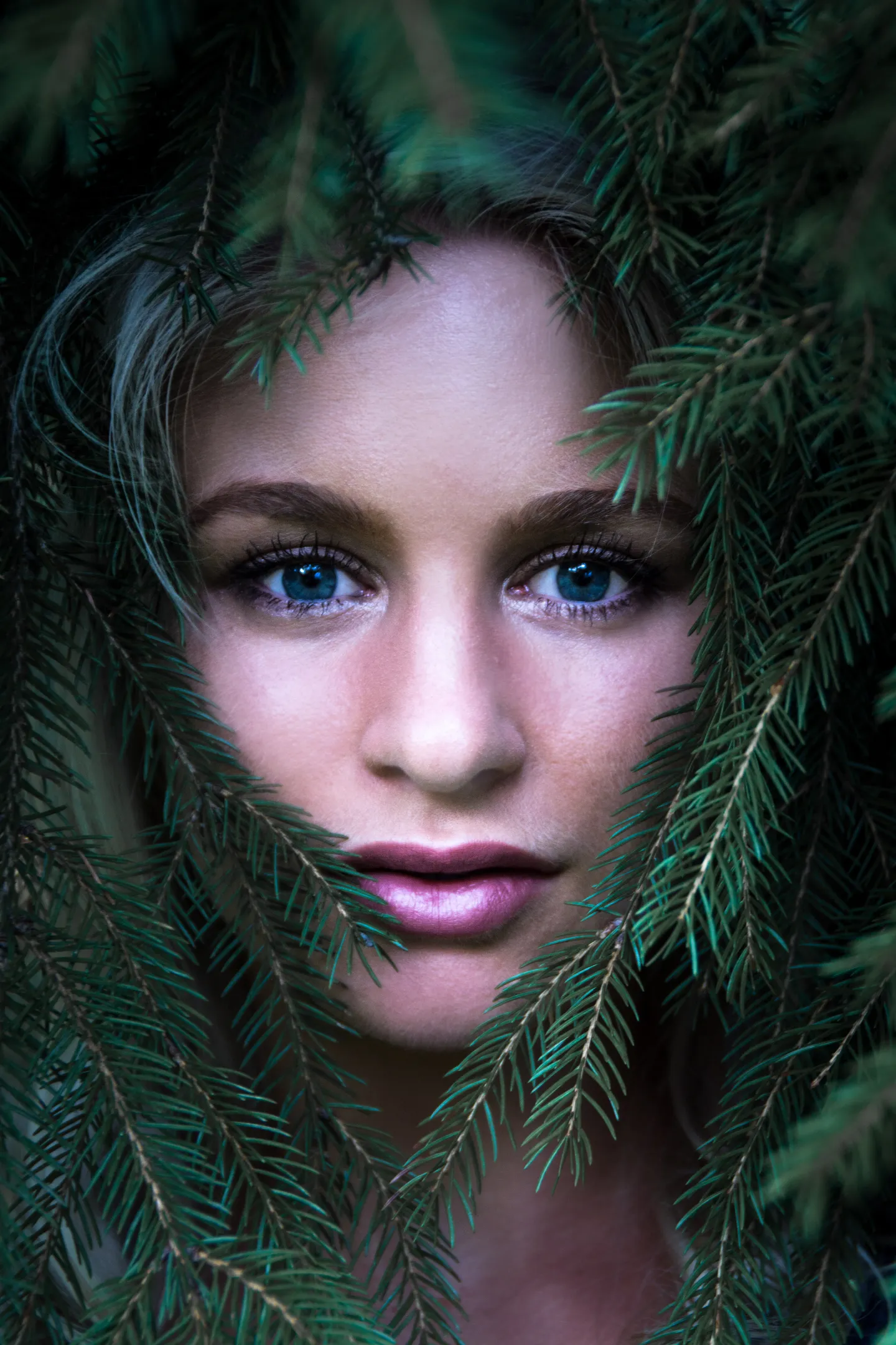 Emily's face framed by green pine branches.